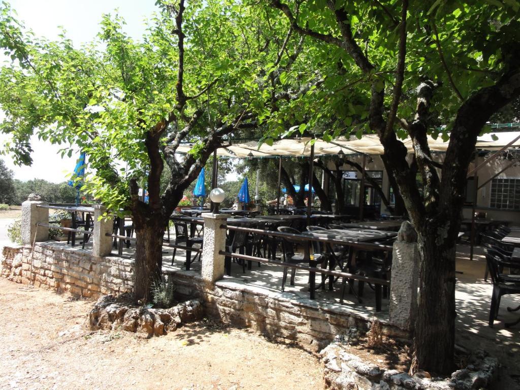 Terrasses De L'Aven Ξενοδοχείο Orgnac-lʼAven Εξωτερικό φωτογραφία
